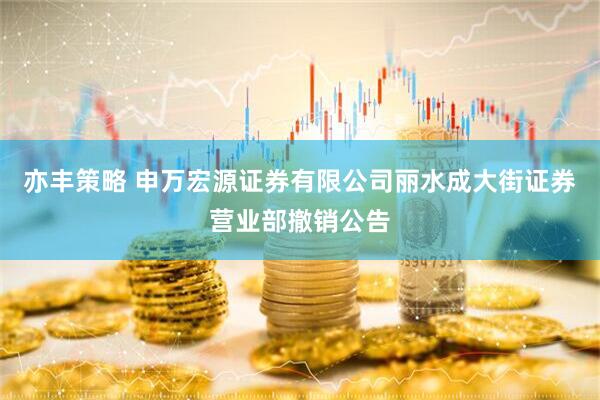 亦丰策略 申万宏源证券有限公司丽水成大街证券营业部撤销公告