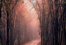 嘉正网:正规股票配资机构-强检营收占比有望短期内超30% L2国标催生百亿风口 头部机构竞相加码试验场